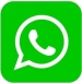 Whatsapp icon